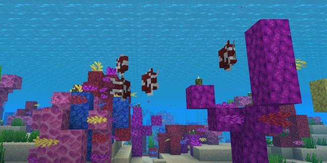 group of fish swimming through a coral reef