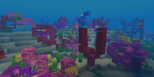 underwater coral reef in warm ocean biome