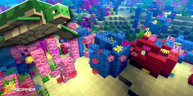 warm ocean biome from above
